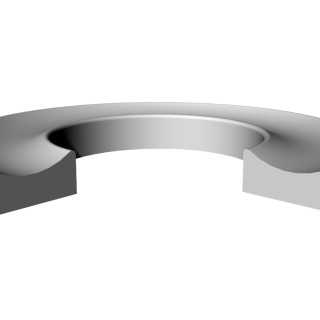 Back-up Rings